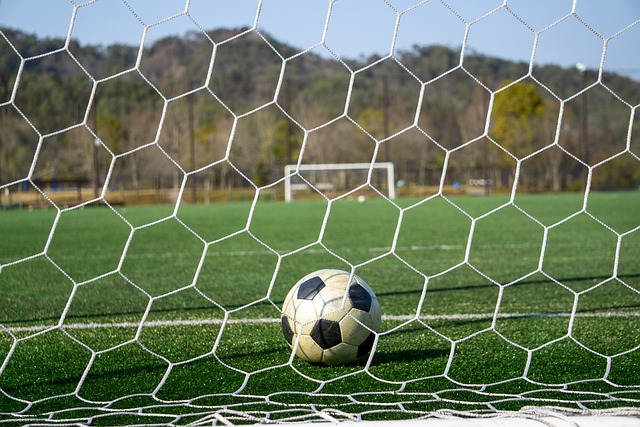 恶意网络谩 恶意网络谩