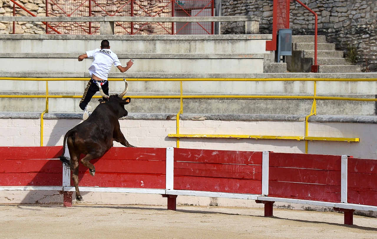 报道 报道